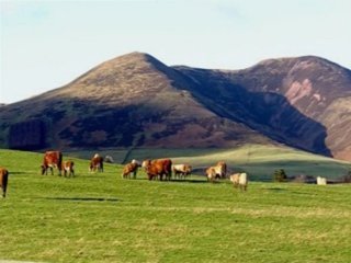 CAMPO- 58
